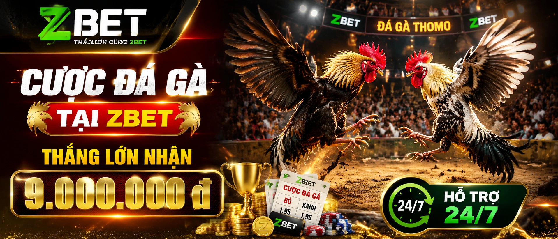 Đá Gà Thomo và phòng live